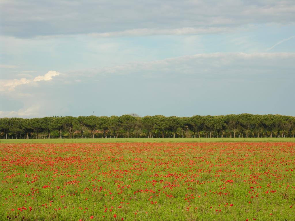 Appartamenti Villaggio San Siro Μπιμπιόνε Εξωτερικό φωτογραφία